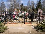 Фотография кованой ограды Кованая ограда фото