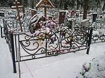 Фотография кованой ограды Кованая ограда фото