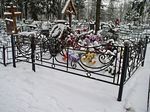 Фотография кованой ограды Кованая ограда фото