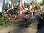 Фотография кованой ограды Кованая ограда фото