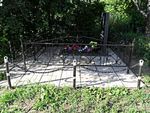 Фотография кованой ограды Кованая ограда фото