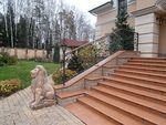 Кованые перила фото