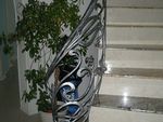 Кованые перила фото